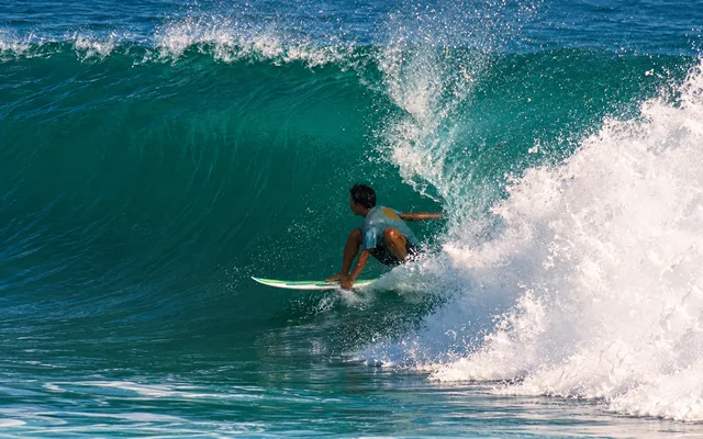 A surfer crouches beneath the curling lip of a barreling green wave.